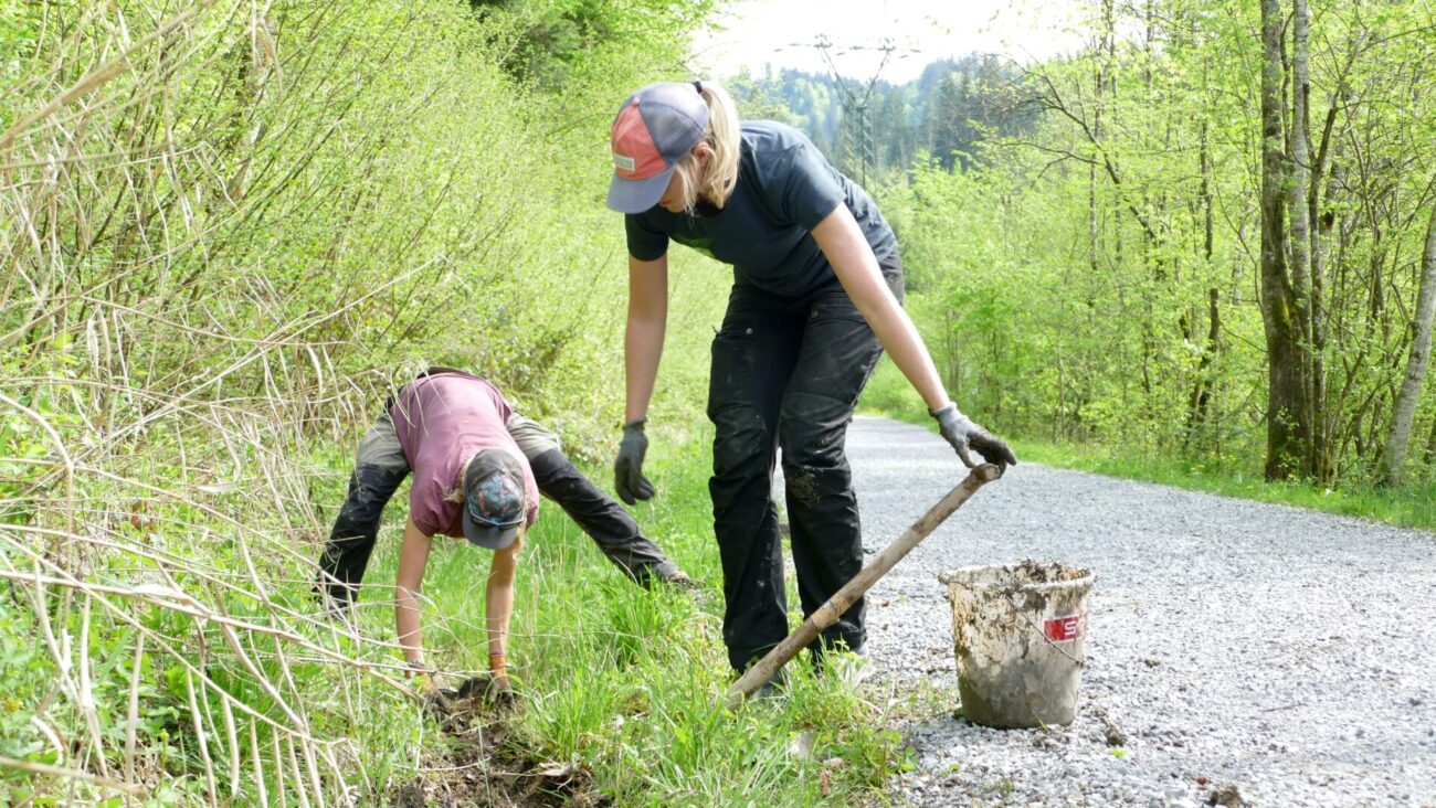 Vielfaltertage 2023 Bregenzerachschlucht
