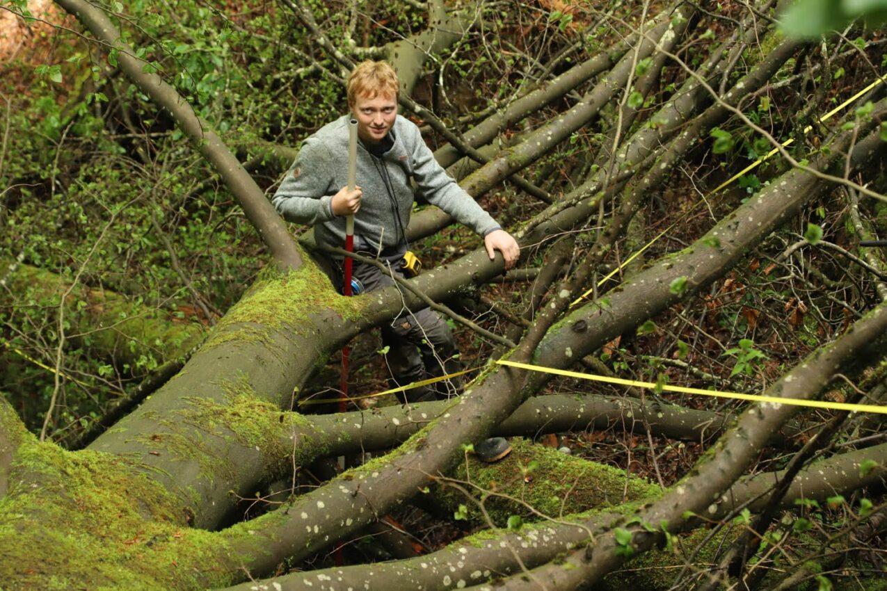 Forschung Naturwaldreservat Rohrach - Totholzaufnahme