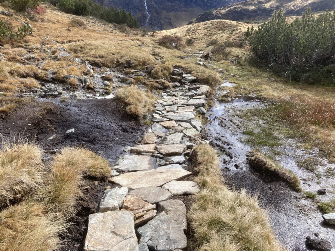 Moor-Wanderwegsanierung Langsee - Steinweg