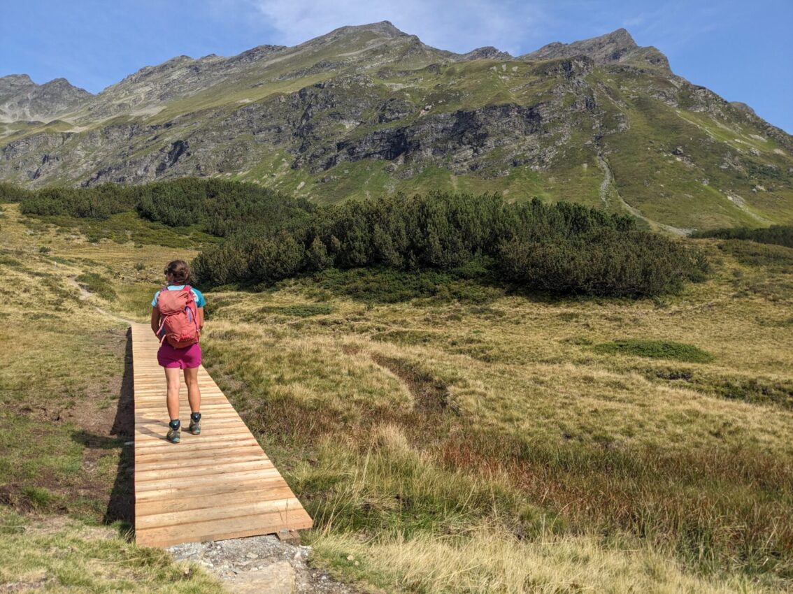 Moor-Wanderwegsanierung Langsee - Holzbohlenweg