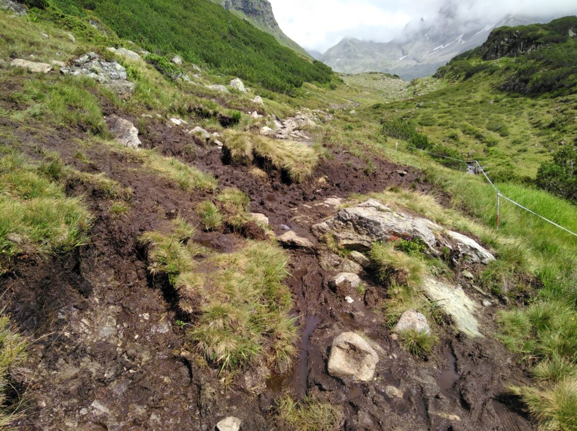 Moorkomplex Langsee - Trittschäden