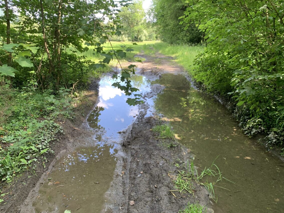 Gelbbauchunken-Biotope in Bangs-Matschels © RM ESG