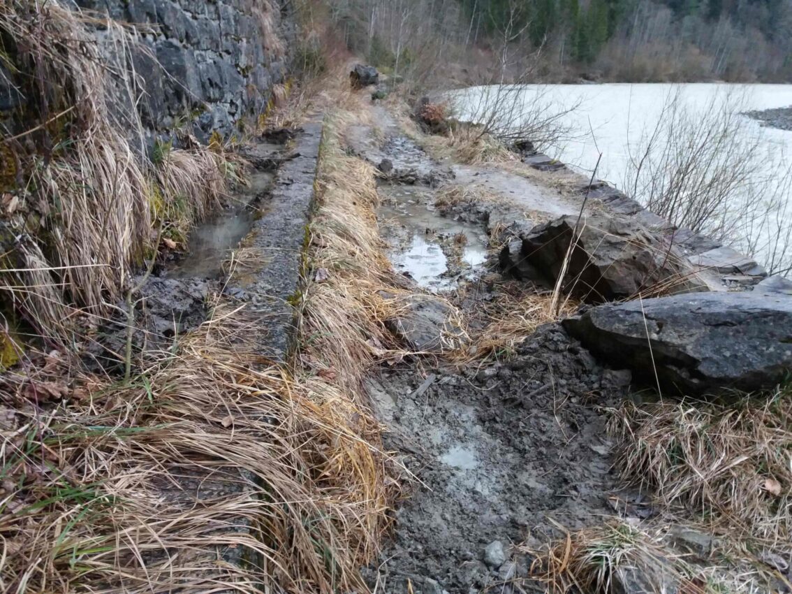 Gelbbauchunkentümpel in der Bregenzerachschlucht © RM ESG