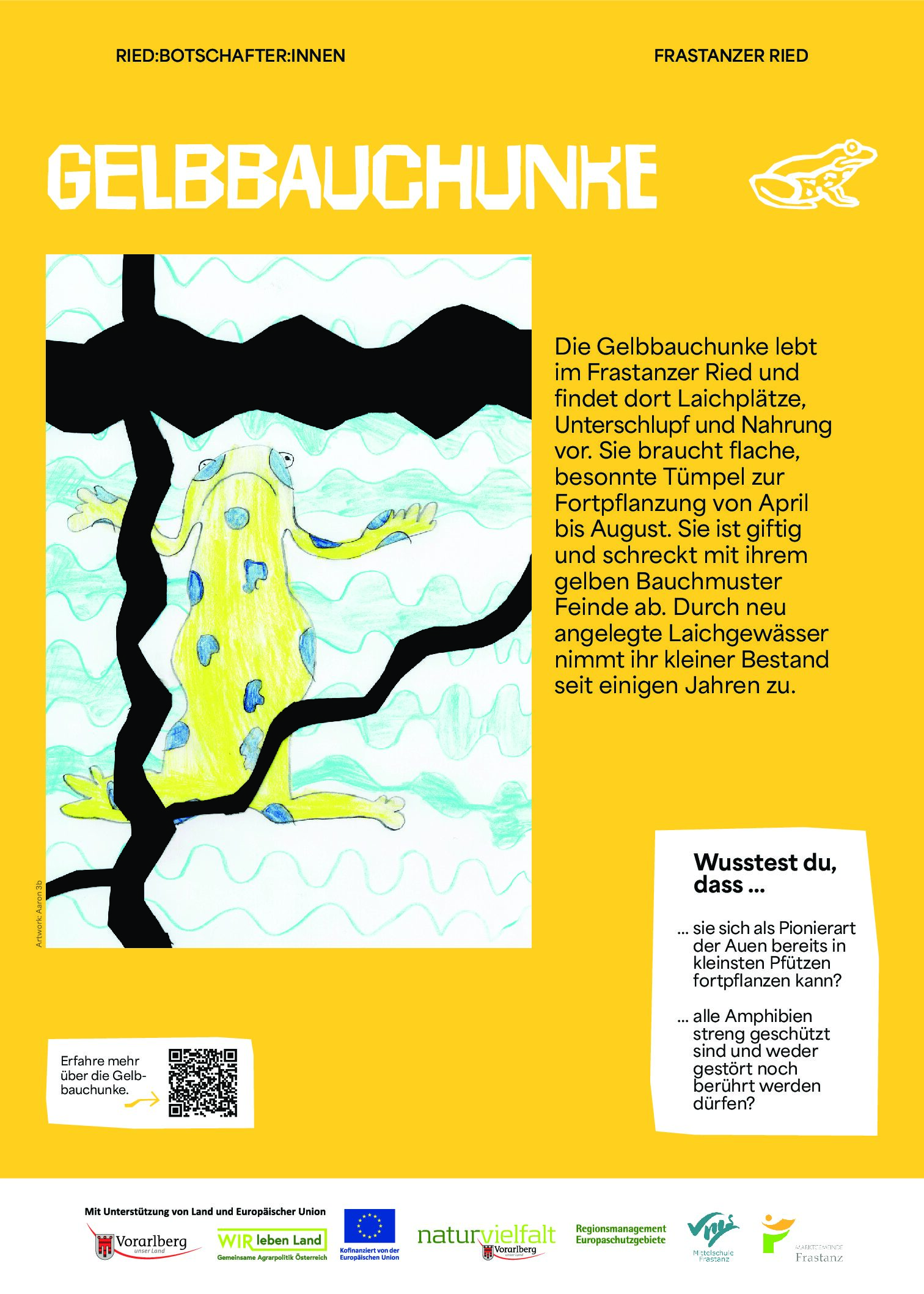 NVF_Ried-Botschafter-innen_Stelen_web_Phase2_A3_Gelbbauchunke_web_P