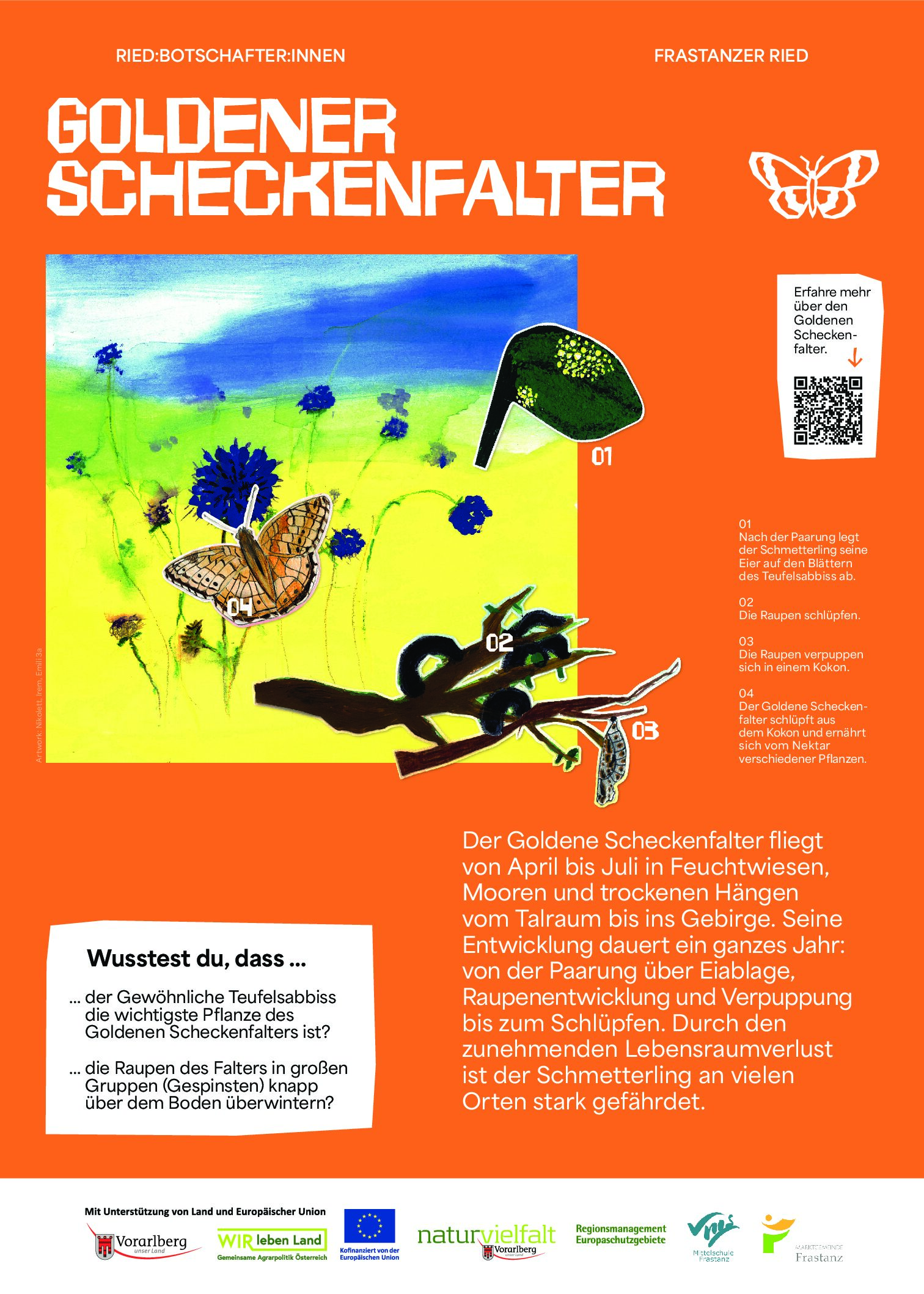 NVF_Ried-Botschafter-innen_Stelen_web_Phase2_A3_GoldenerScheckenfalter_web_P