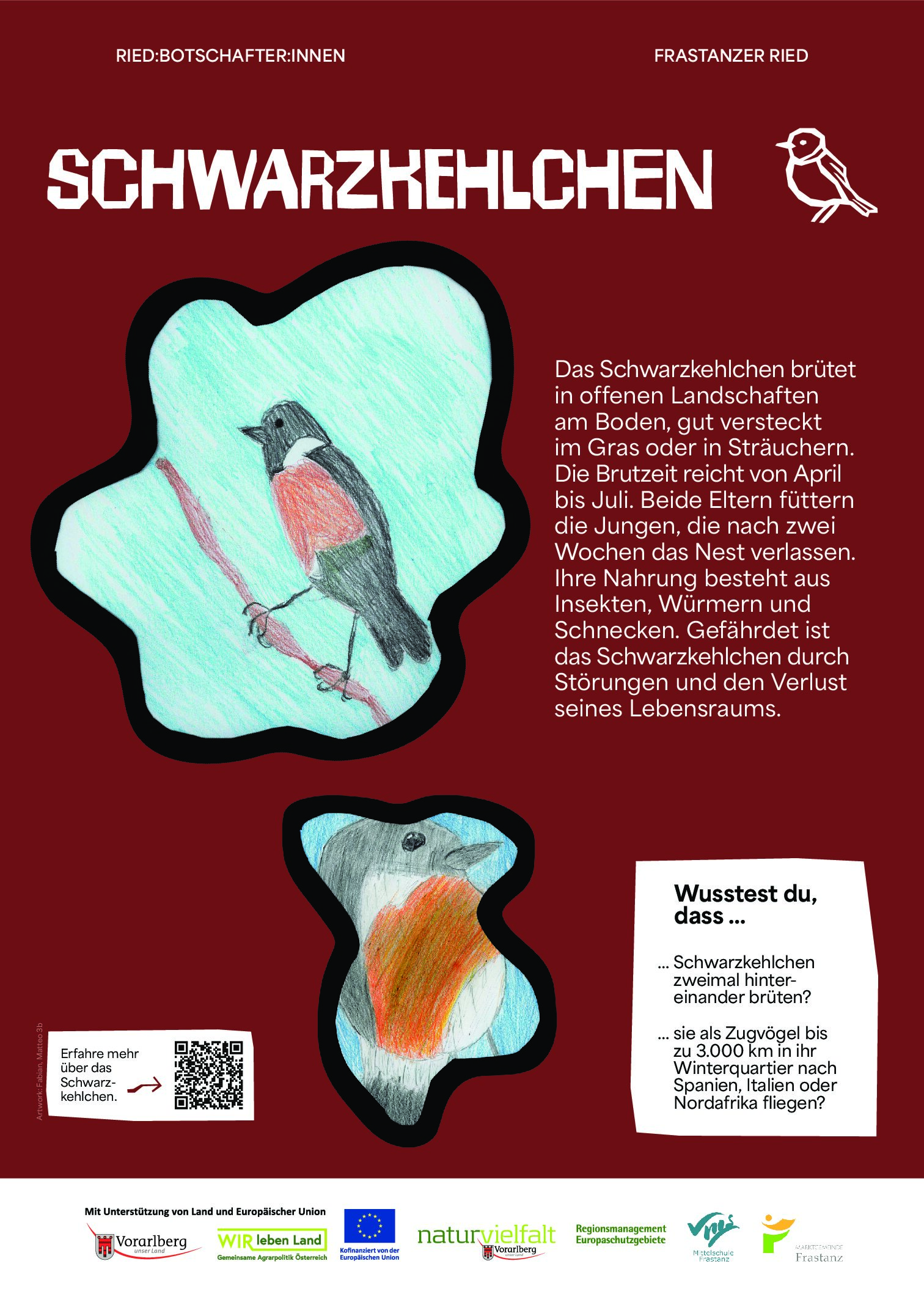 NVF_Ried-Botschafter-innen_Stelen_web_Phase2_A3_Schwarzkehlchen_web_P