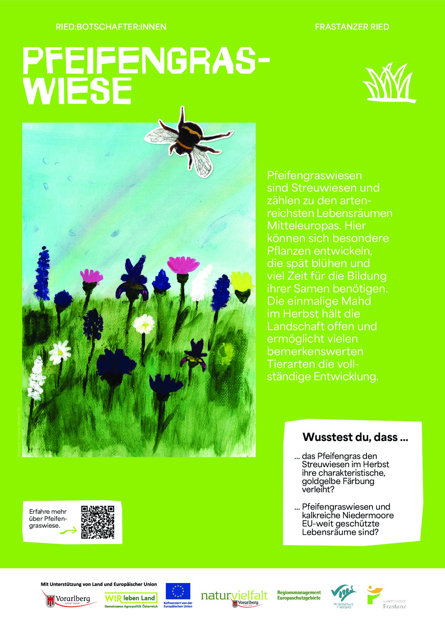 NVF_Ried-Botschafter-innen_Stelen_web_Phase2_A3_web_Pfeifengraswiese_web_P