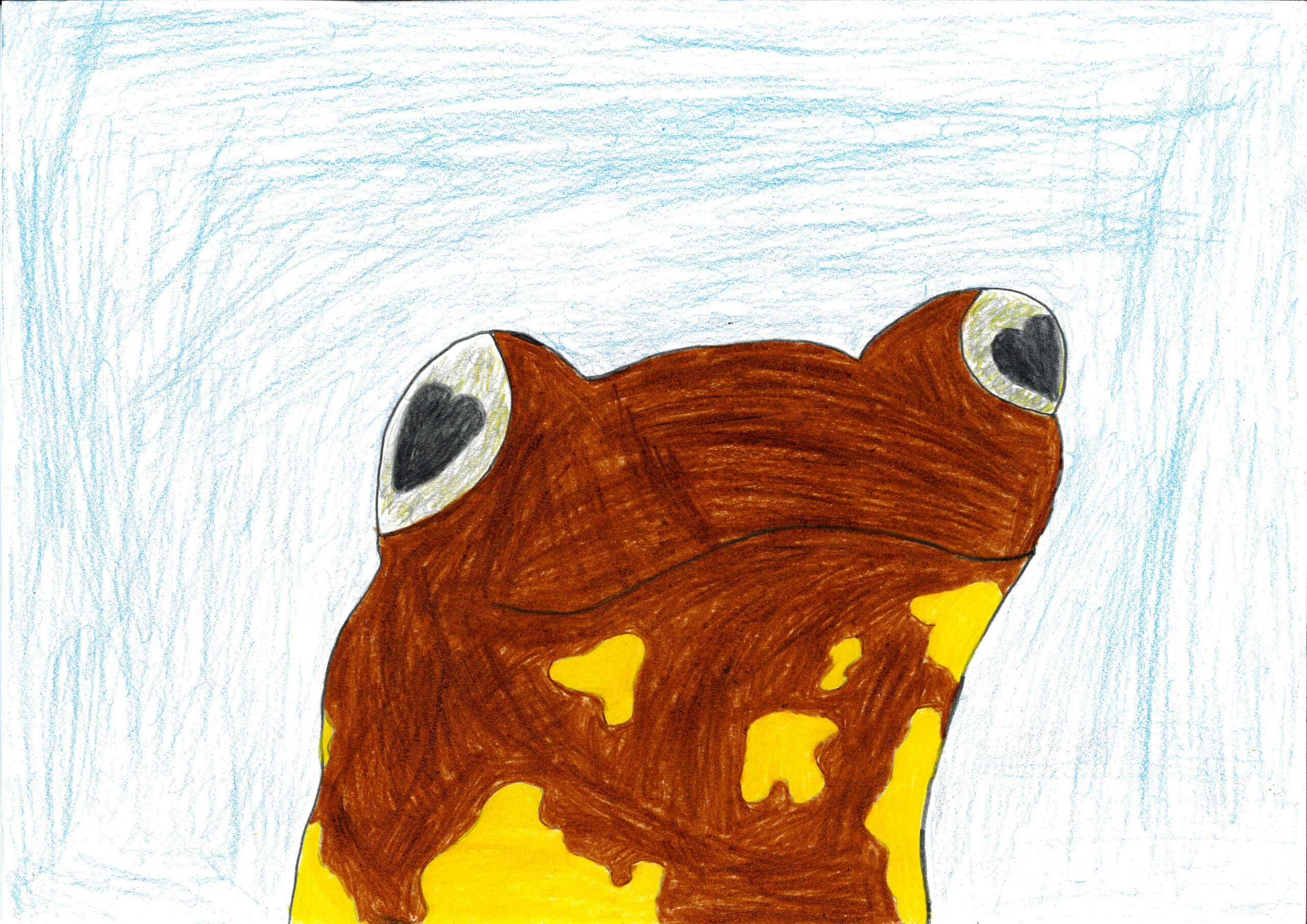 Gelbbauchunke04
