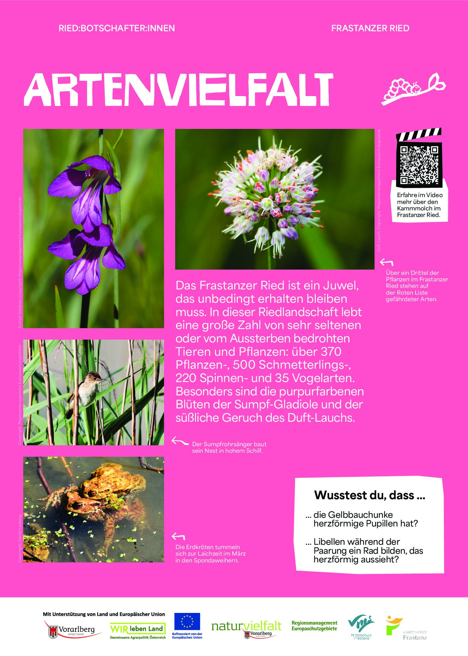 NVF_Ried-Botschafter-innen_Stelen_web_Phase1_A3_Artenvielfalt_web_P