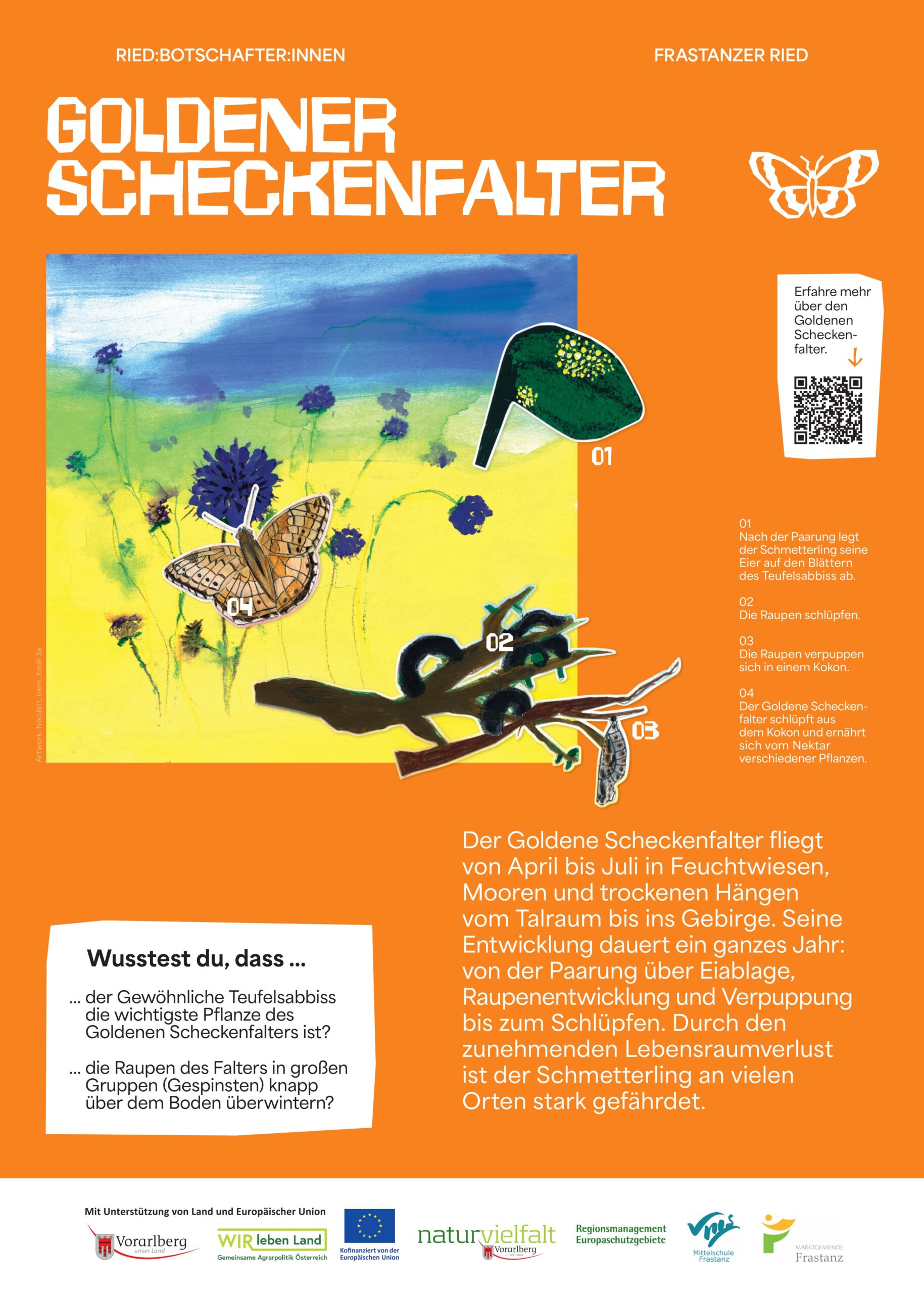 NVF_Ried-Botschafter-innen_Stelen_web_Phase2_A3_GoldenerScheckenfalter_web_P