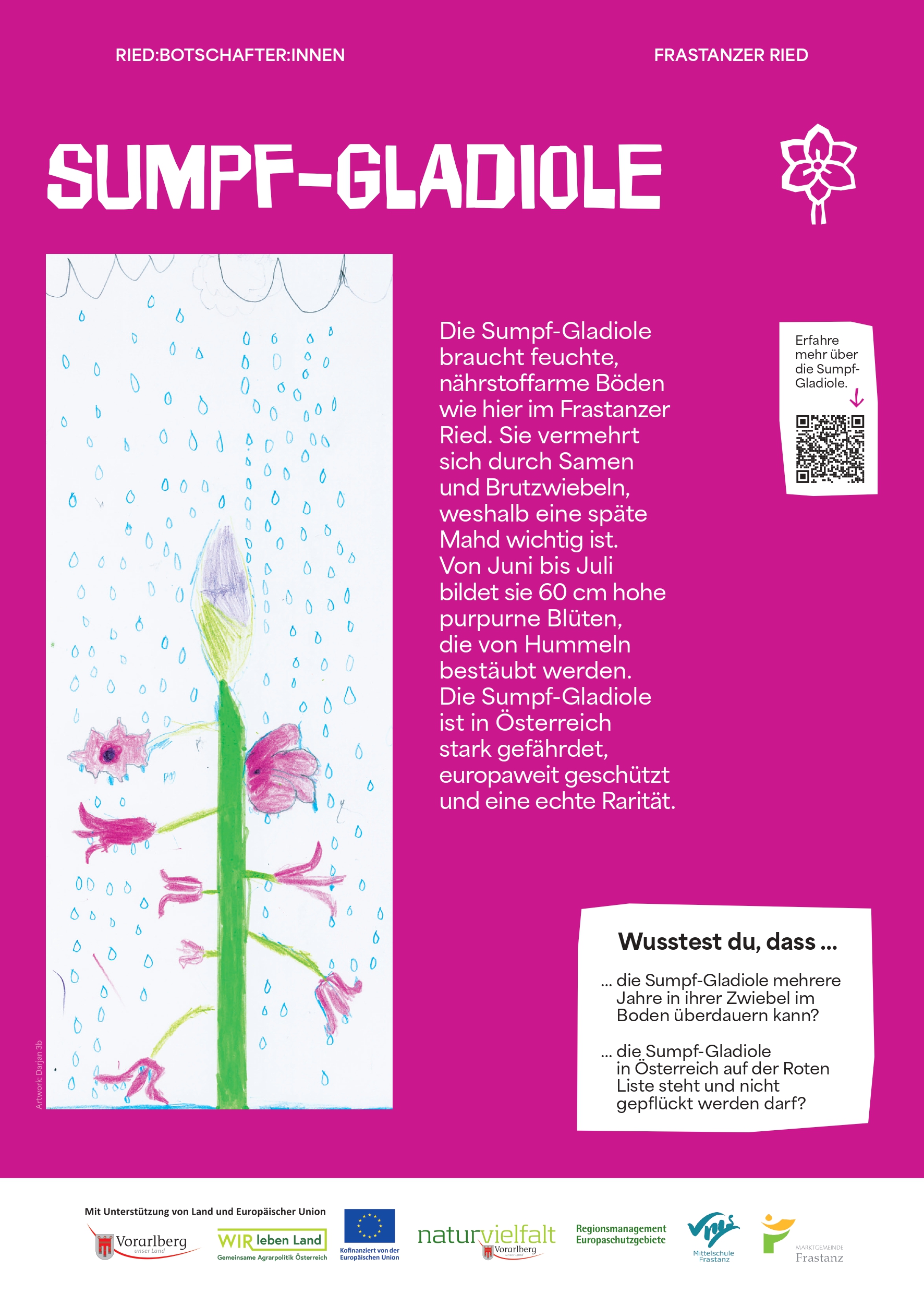 NVF_Ried-Botschafter-innen_Stelen_web_Phase2_A3_Sumpfgladiole_web_P_page-0001